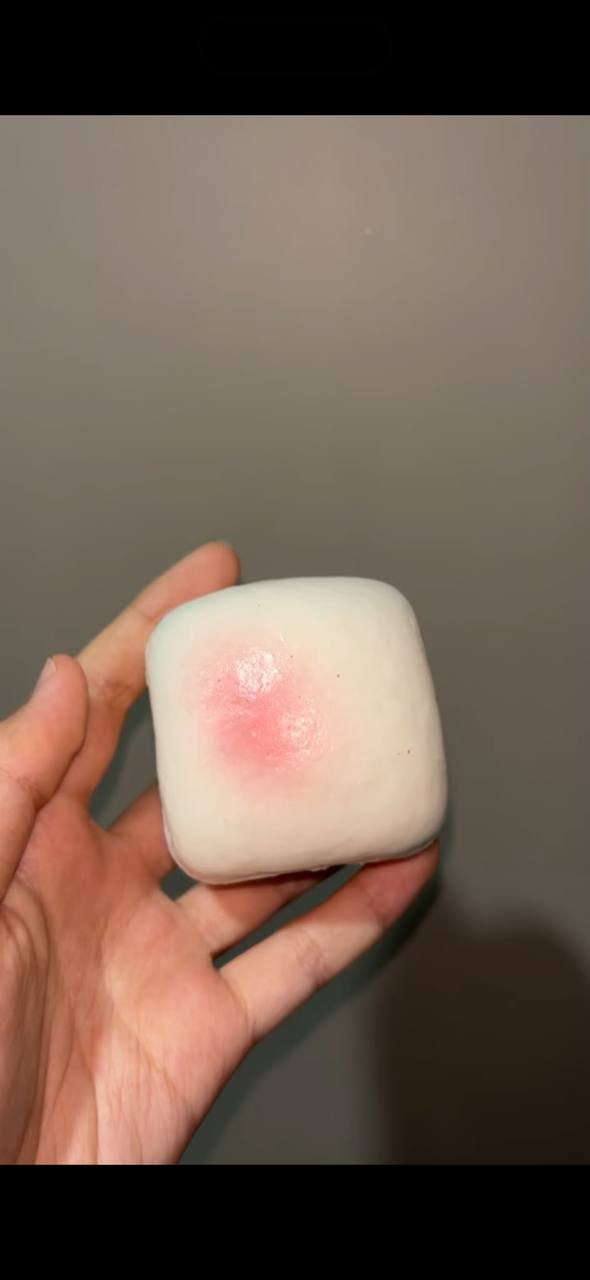 🌼 Mochi Squishy 2.0 🍡